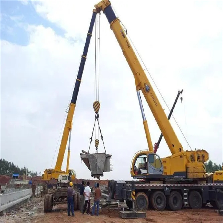 泰兴小型吊机出租电话|厂房设备吊装方案|24小时服务覆盖